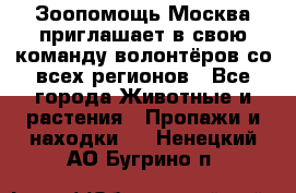 Зоопомощь.Москва приглашает в свою команду волонтёров со всех регионов - Все города Животные и растения » Пропажи и находки   . Ненецкий АО,Бугрино п.